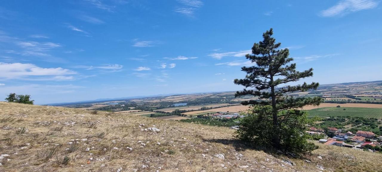 Apartman Viktorie Mikulov Buitenkant foto